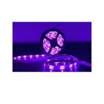 RGB Strip Light Non-Waterproof 5meter - Light52 - LED Lighting Electrical Suppliers