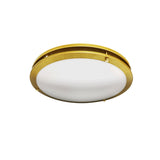 15 Inch Slim 2Ring Flush Mount 3Way CCT - Light52 - LED Lighting Electrical Suppliers
