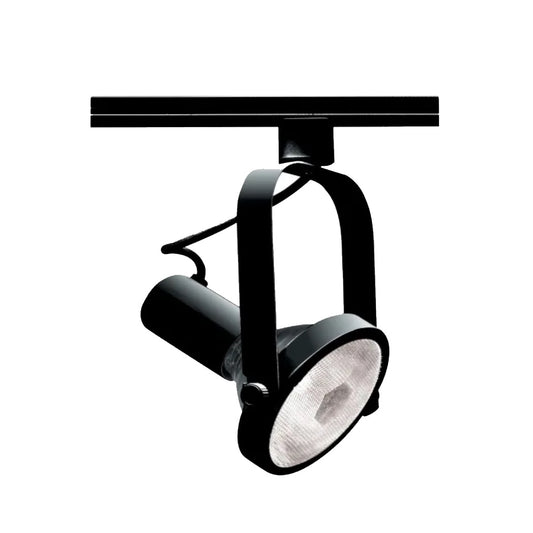 Track Head PAR30 Gimble - Light52.com